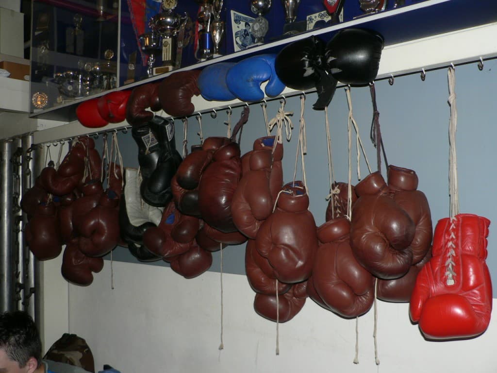 Bokshandschoenen aan haken, met prijzen van de club erboven
